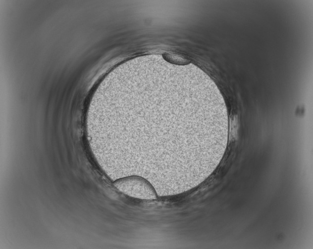 X0000112950291200910051225