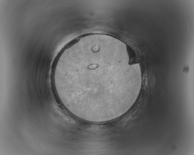 X0000112950292200910051225