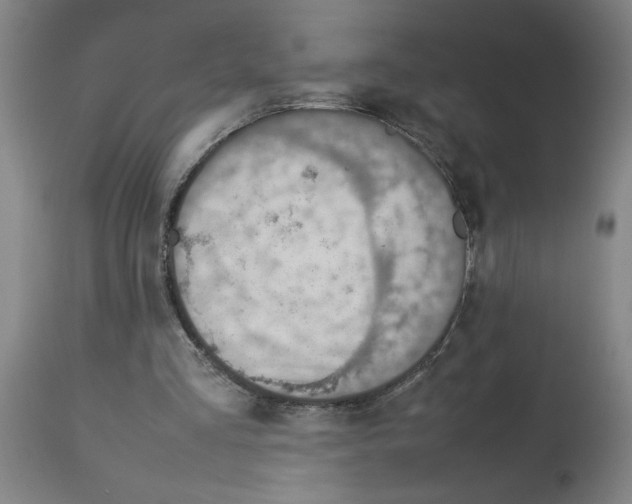 X0000112950293200910051225