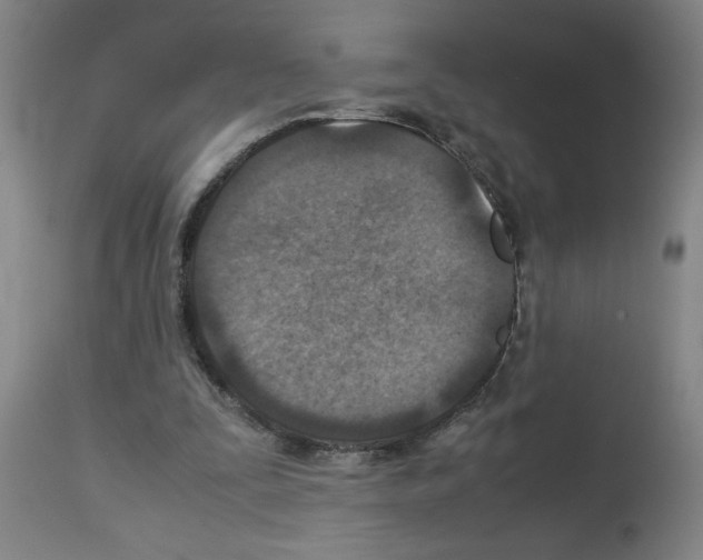 X0000112950295200910051225