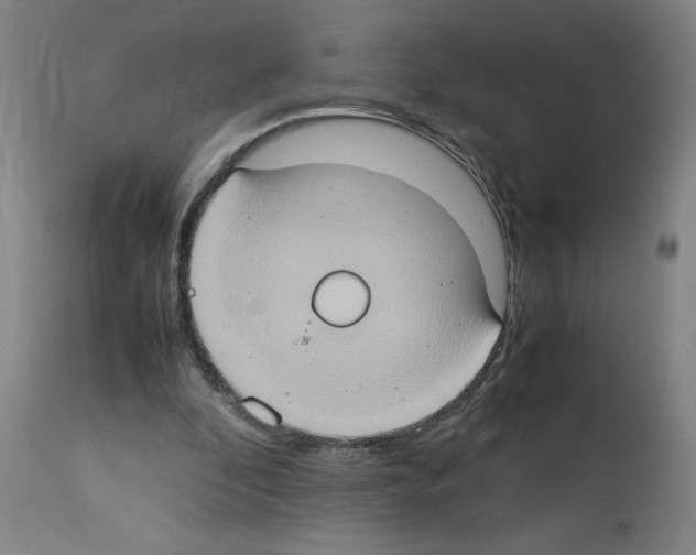 X0000112950296200910051225