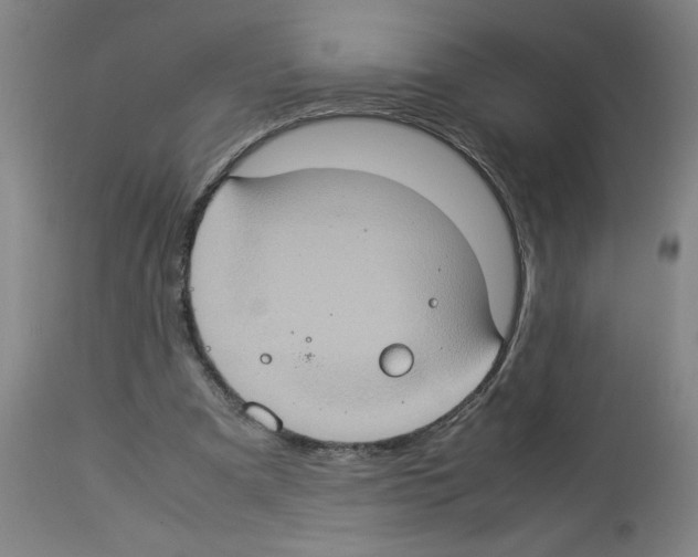 X0000112950297200910051225