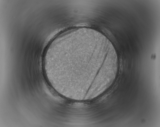 X0000112950298200910051225