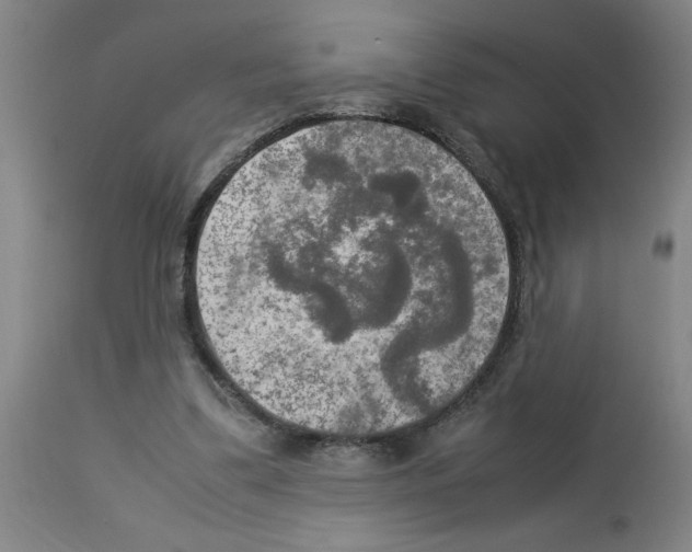 X0000112950299200910051225