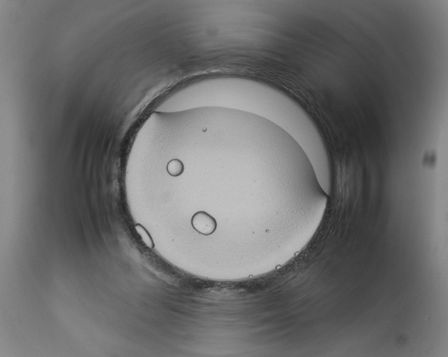 X0000112950300200910051225
