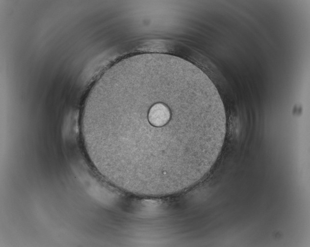 X0000112950302200910051225