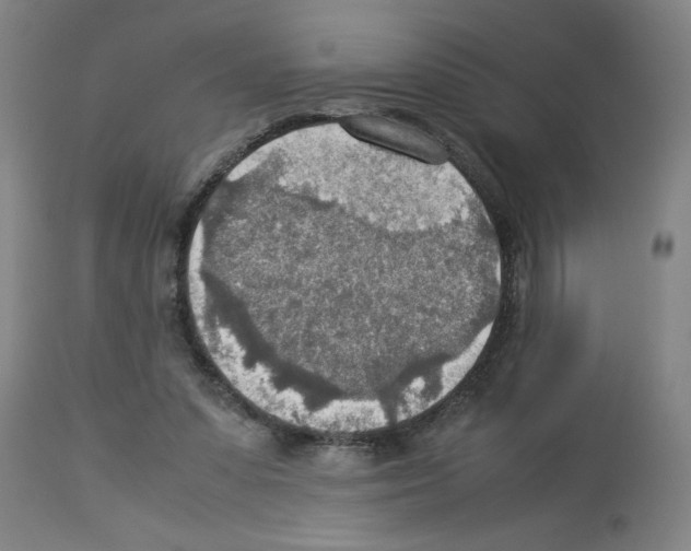X0000112950303200910051225