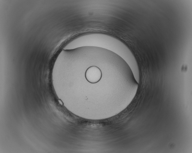 X0000112950304200910051225