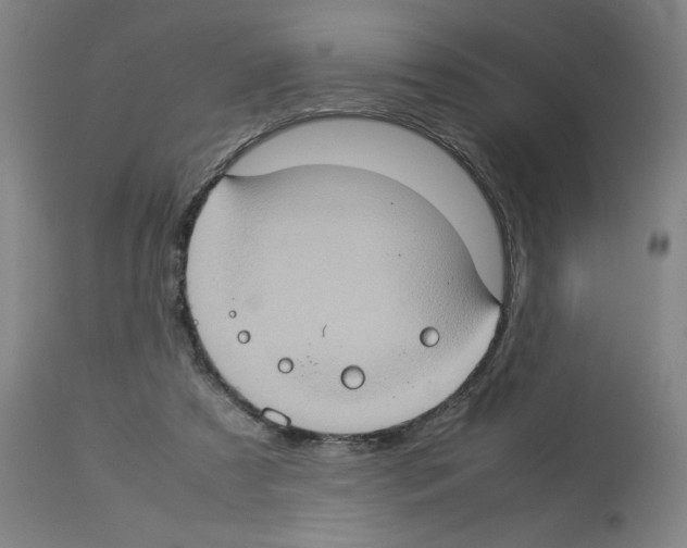 X0000112950305200910051225