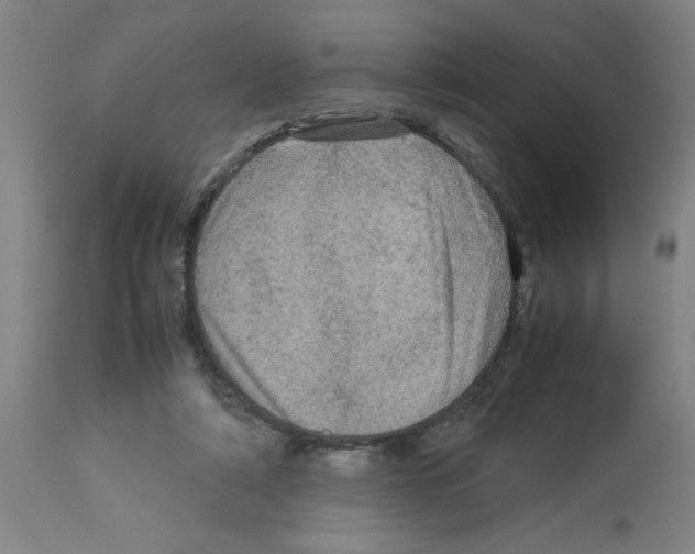 X0000112950306200910051225