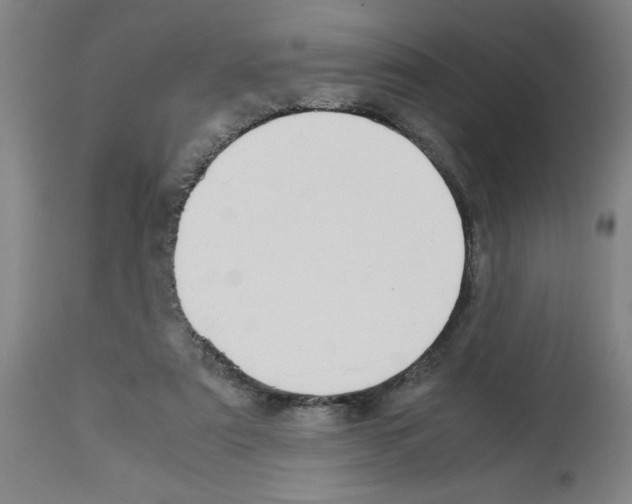 X0000112950307200910051225