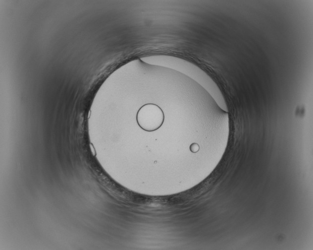 X0000112950308200910051225