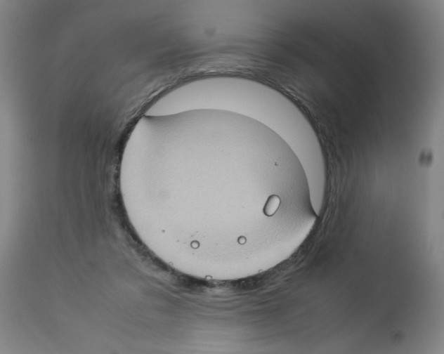 X0000112950309200910051225