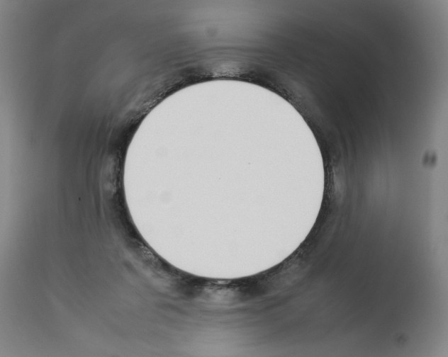 X0000112950311200910051225