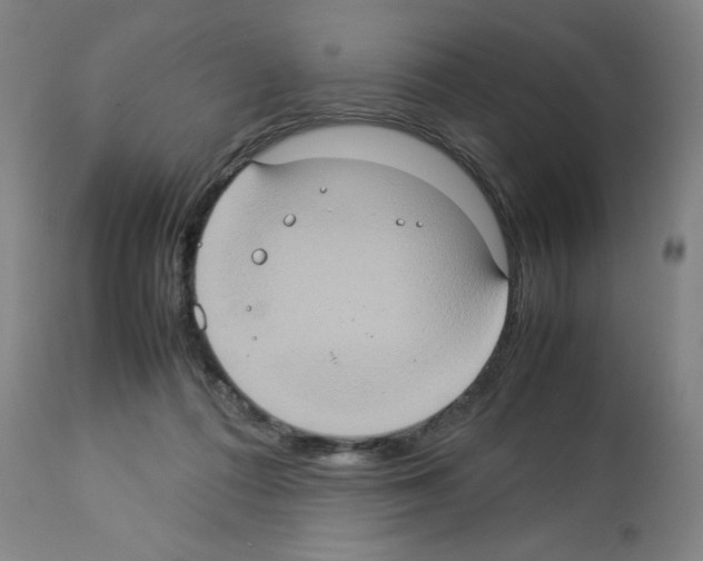 X0000112950312200910051225