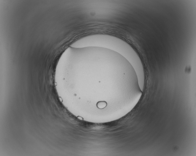 X0000112950313200910051225