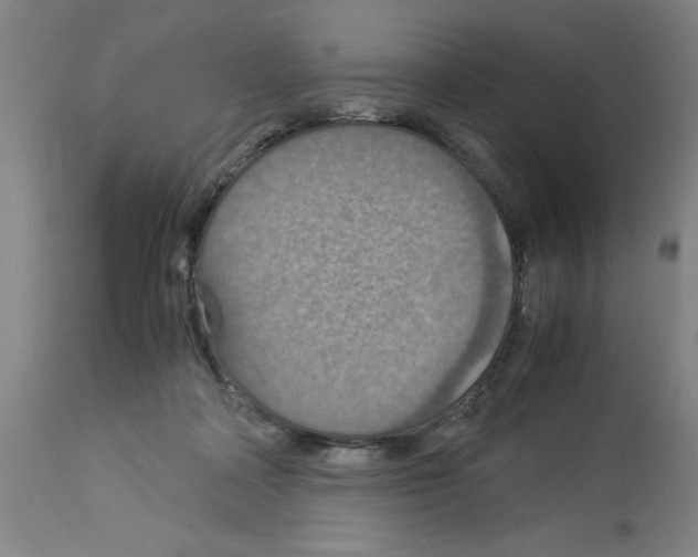 X0000112950314200910051225