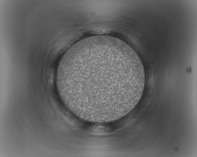 X0000112950315200910051225