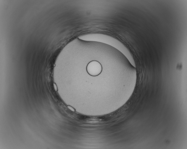 X0000112950316200910051225