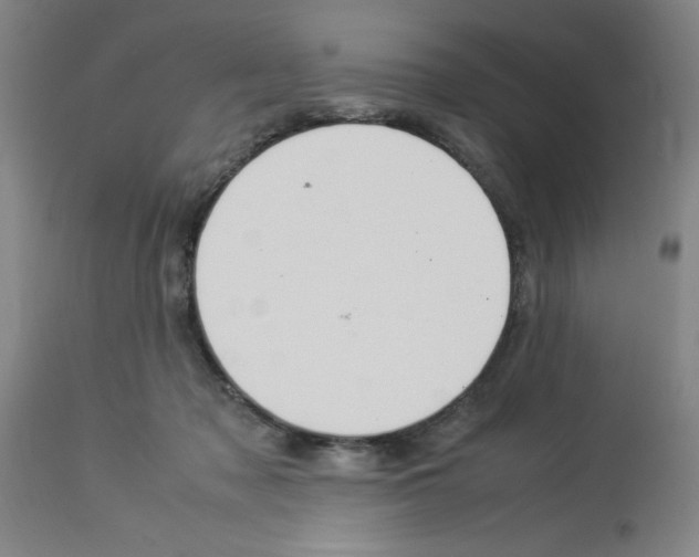 X0000112950317200910051225