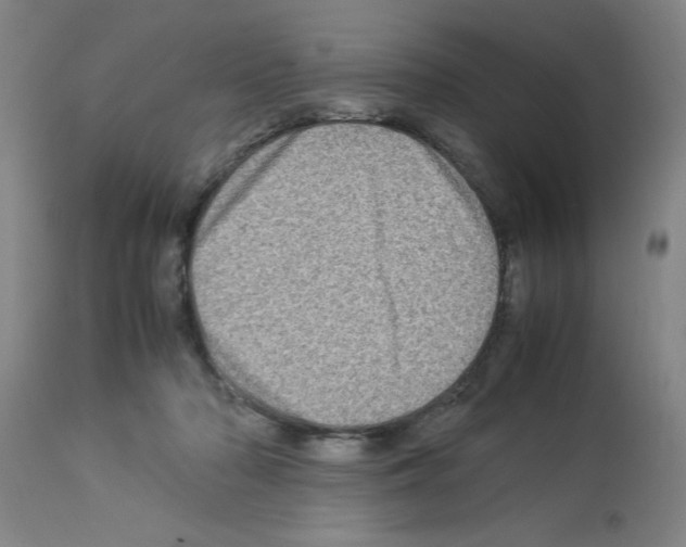 X0000112950318200910051225