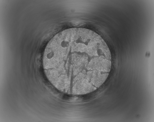 X0000112950319200910051225