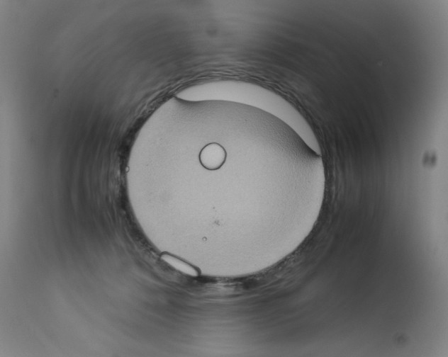 X0000112950320200910051225