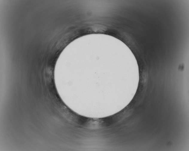 X0000112950321200910051225