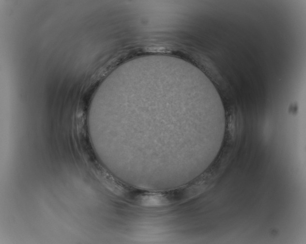 X0000112950322200910051225