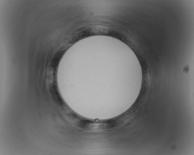 X0000112950323200910051225