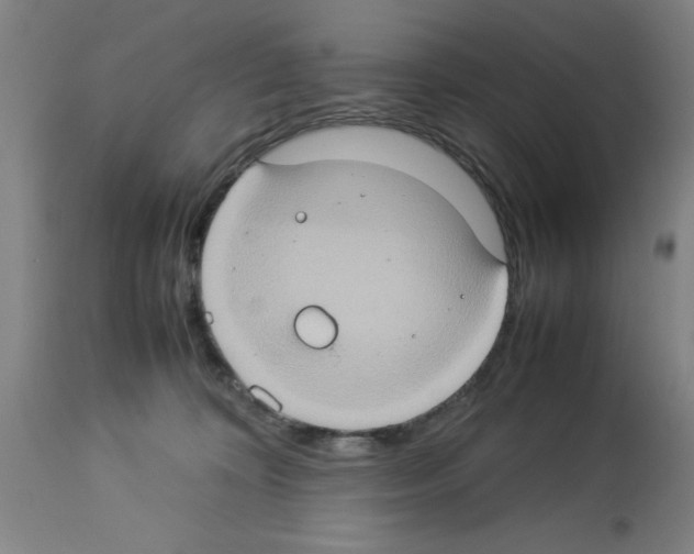 X0000112950324200910051225