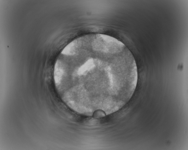 X0000112950325200910051225