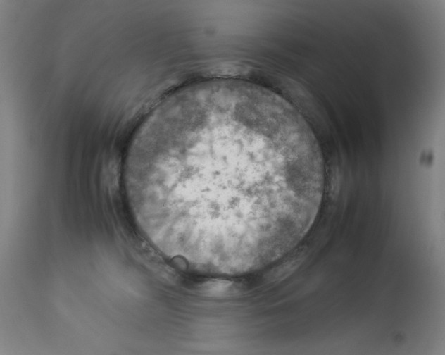 X0000112950326200910051225