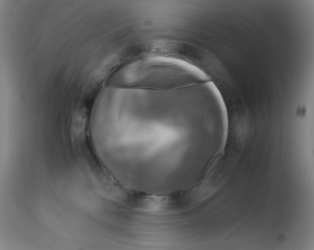 X0000112950328200910051225