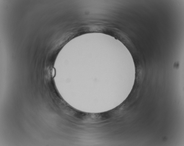X0000112950329200910051225