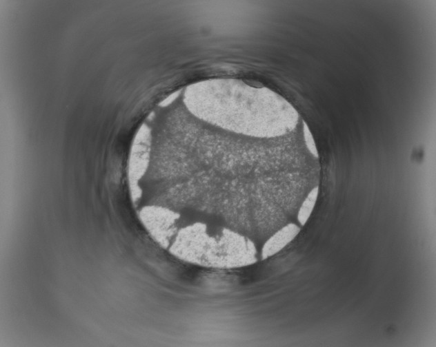 X0000112950331200910051225