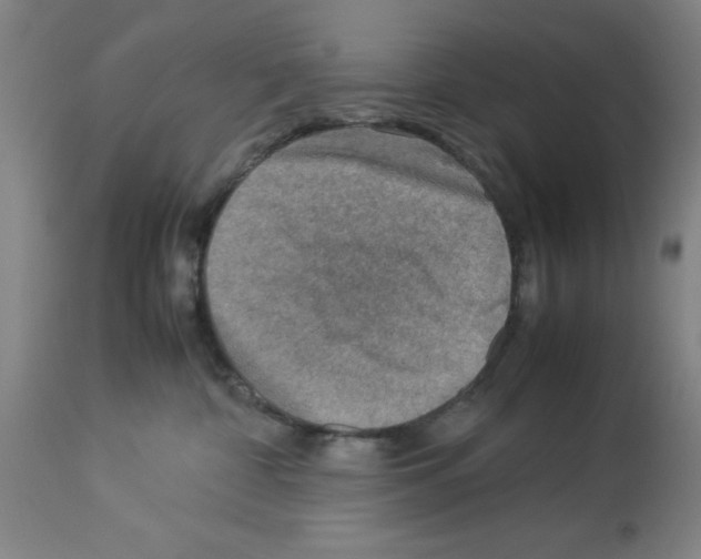 X0000112950332200910051225