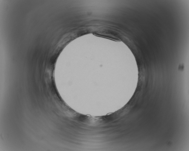 X0000112950333200910051225