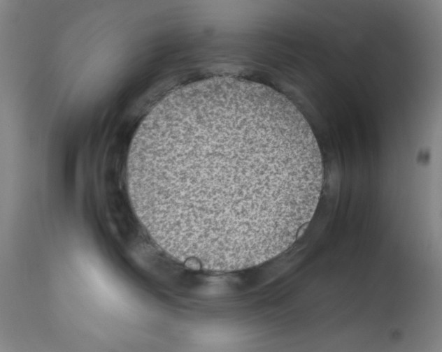 X0000112950334200910051225