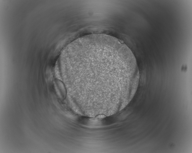 X0000112950335200910051225