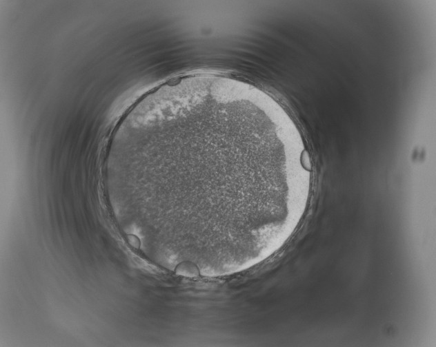 X0000112950337200910051224