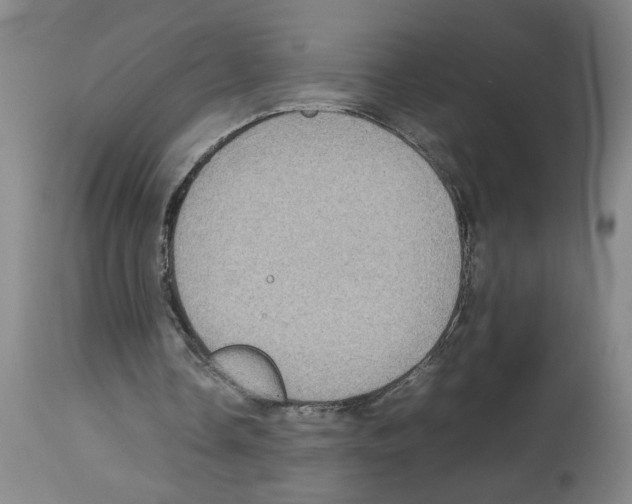 X0000112950338200910051224