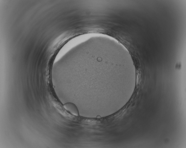 X0000112950339200910051224