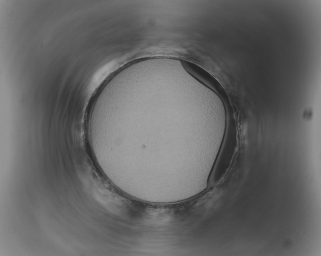 X0000112950340200910051224