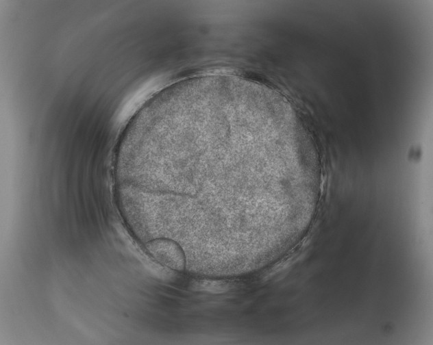 X0000112950341200910051224