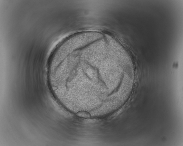 X0000112950342200910051224