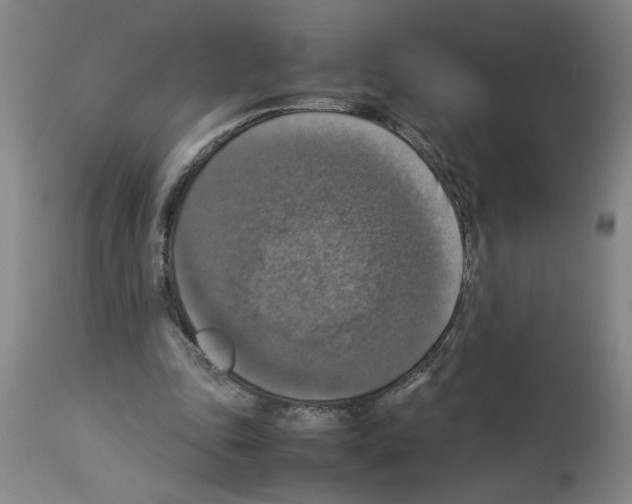 X0000112950343200910051224