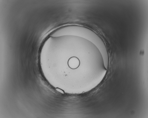 X0000112950344200910051224