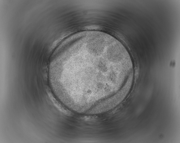 X0000112950345200910051224