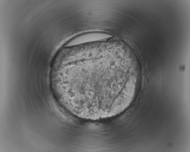 X0000112950346200910051224